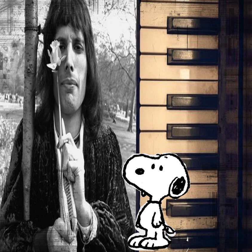 Freddie my love ❤️‍🩹 5th of September, 1946 - 24th of November, 1991 #freddiemercury #queen #sad #nostalgia #laurapalmer 