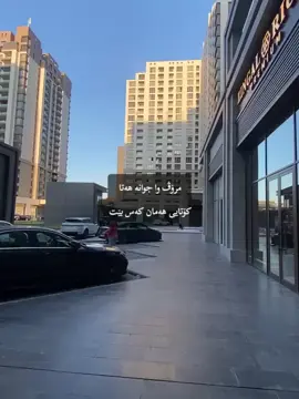 #زانکۆی_پۆلیتەکنیکی_هەولێر #epu #fypシ゚ #fyp #viral 