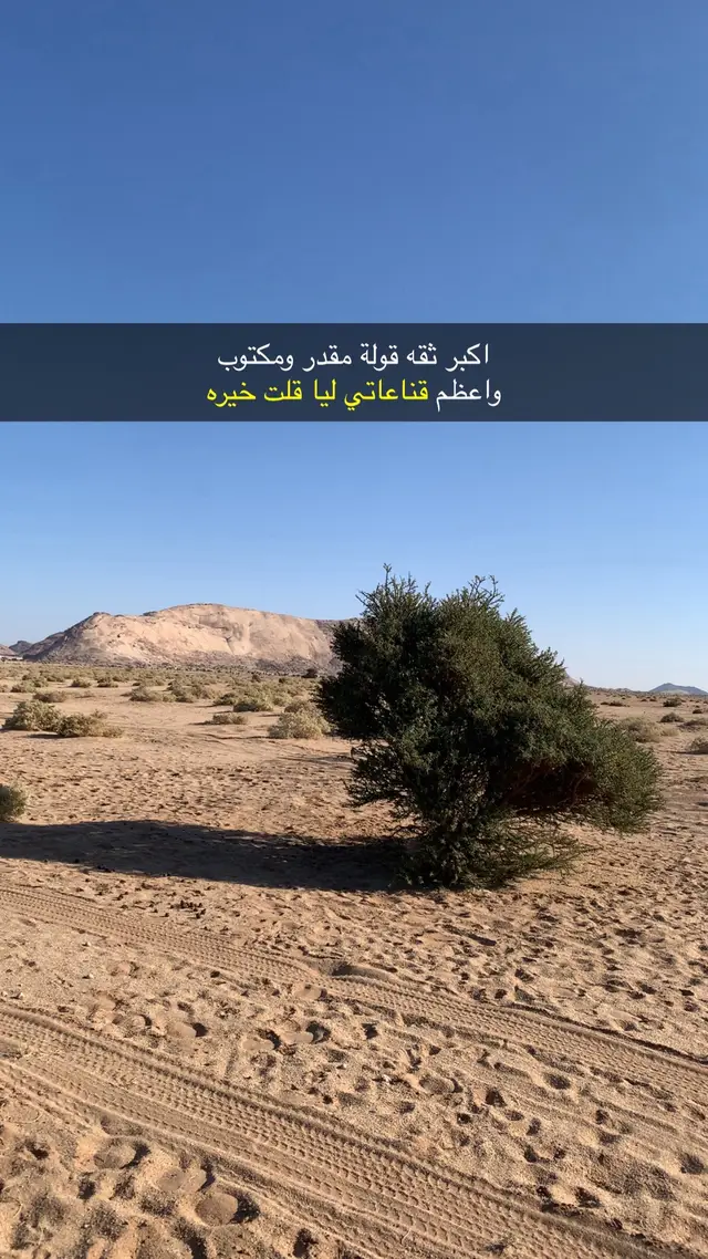 #قصائد_شعر_خواطر_غزل_مجرد_ذوق 