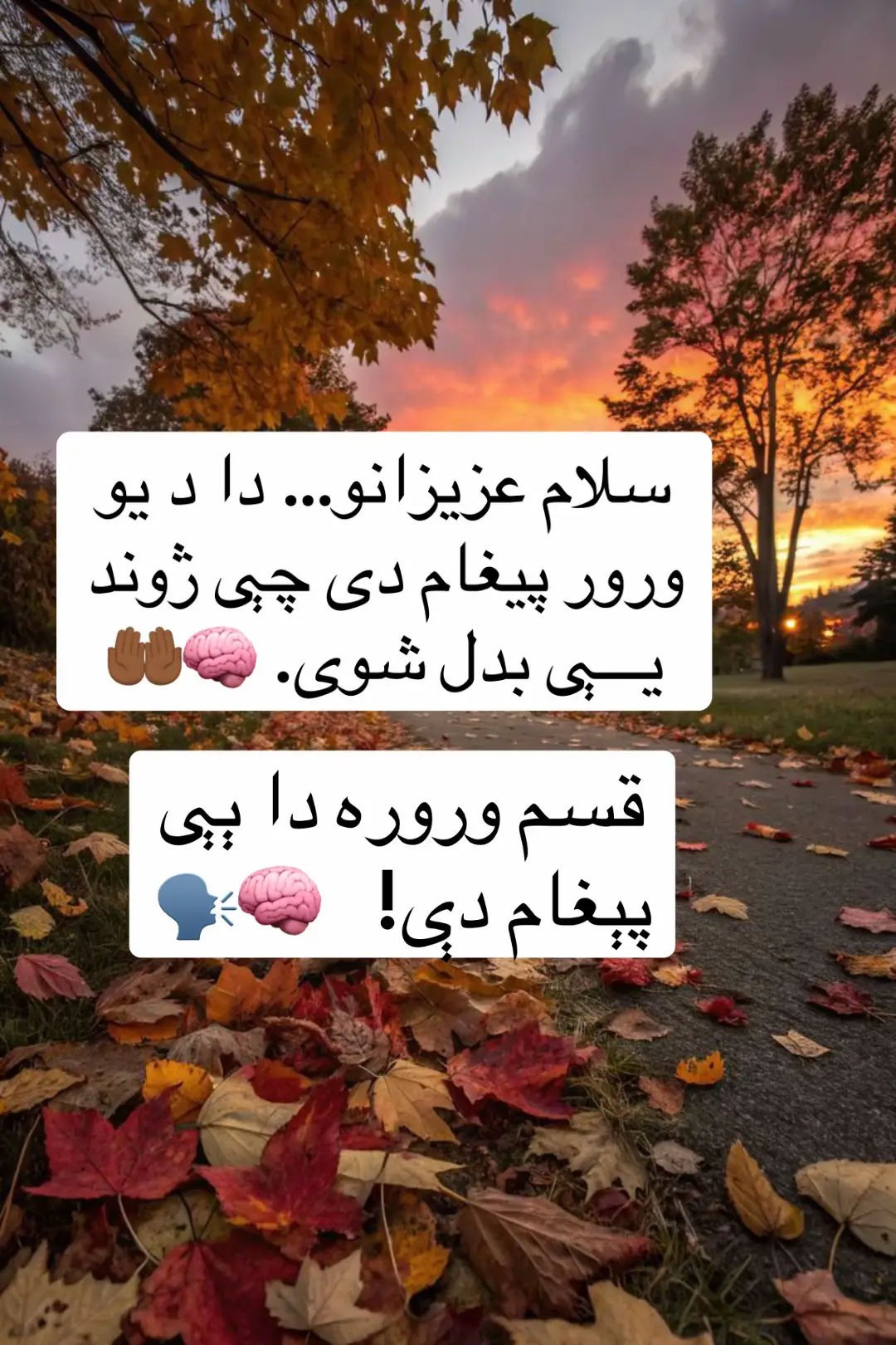 @﷽𓆪Aᴊᴇᴢ Sᴀʜɪʙ🧠✍️📚 #AjezSahib #پښتون_تاجیک_هزاره_ازبک_زنده_باد🇦🇫 #creatorsearchinsights #ناپاکه_نارینه_دناپاکه_ښځولپاره #islamic 