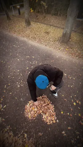 Rồi mùa thu… 🍁  #lavang #nhatban  #cuocsongnhatban 