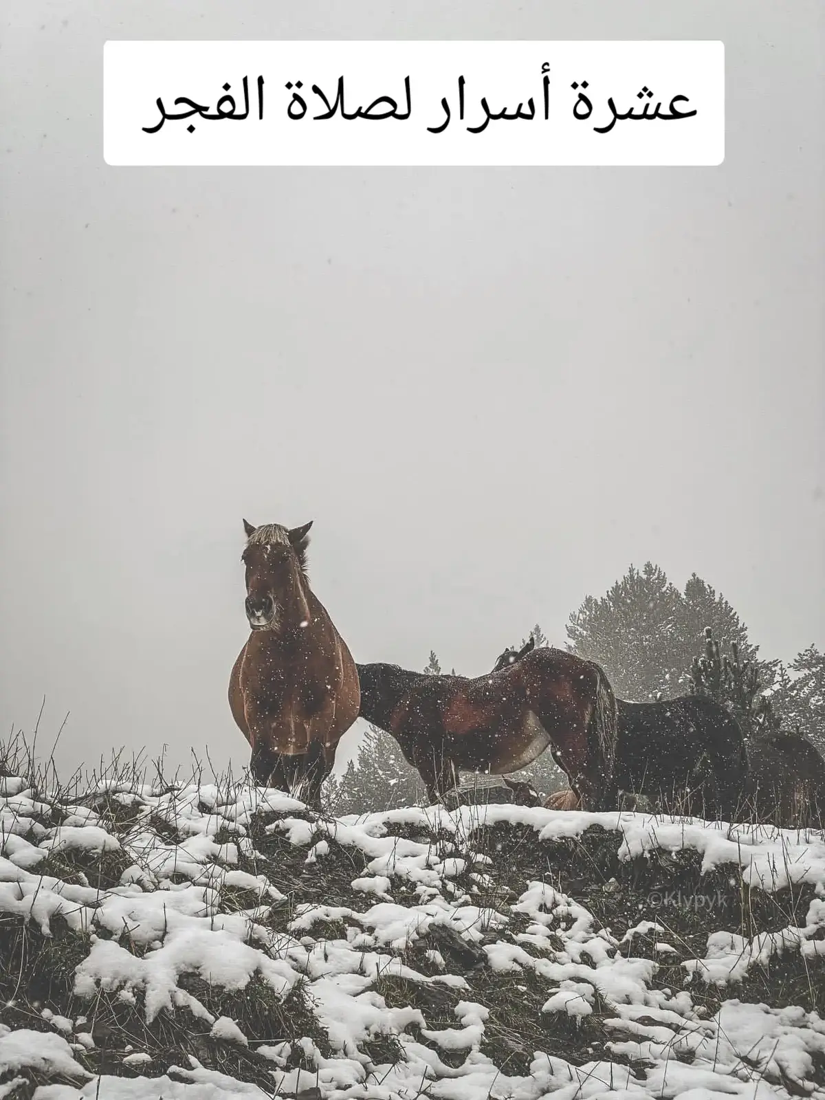 #صلاة_الفجر 