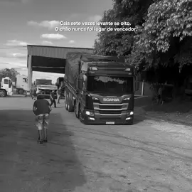Caia sete vezes levante se oito. O chão nunca foi lugar de vencedor. . . . #caminhão #reels #viral #explore #motivation 
