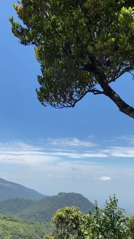 when ke lawu yak#fypage #jobolaranganviawonomulyo 