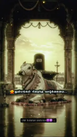 #harharmahadev #omnamahshivaya #mahadev_bhakt #spiritualvibes #lordshiva 