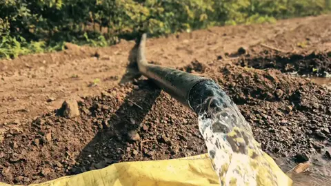 ❤️🌱 Farming Vlog ! [ Village Vibes | Peace | Farmer | Mini Vlog | #volgosicilia #villagelover❤️ #fypagee❤️❤️ #fypppppppppppppppppppppppppppppppppppppppppppppppppppppppppppppppppppp 