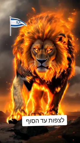 #הרעול1 #יחידותמיוחדות #מסתערבים #יממ #ביחד_ננצח🇮🇱 