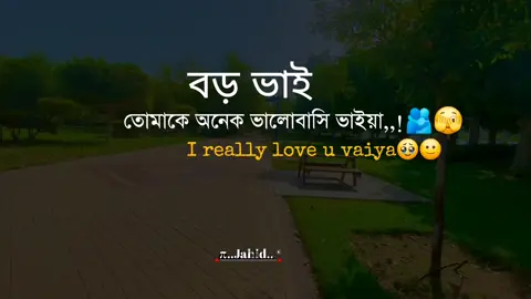 বড় ভাই,,।। তোমাকে অনেক ভালোবাসি ভাইয়া।। 🫂🥀#tiktok #viralvideo #foryoupage #জাহিদ 