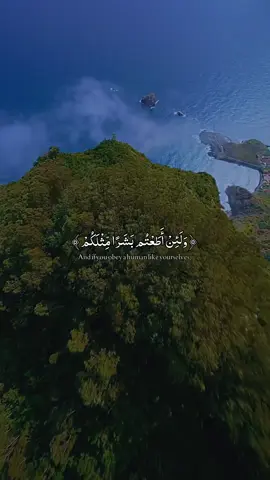 A peaceful recitation of the Holy Quran @Quran//قرآن @Holy Quran 🎧 @Quran--قرآن 