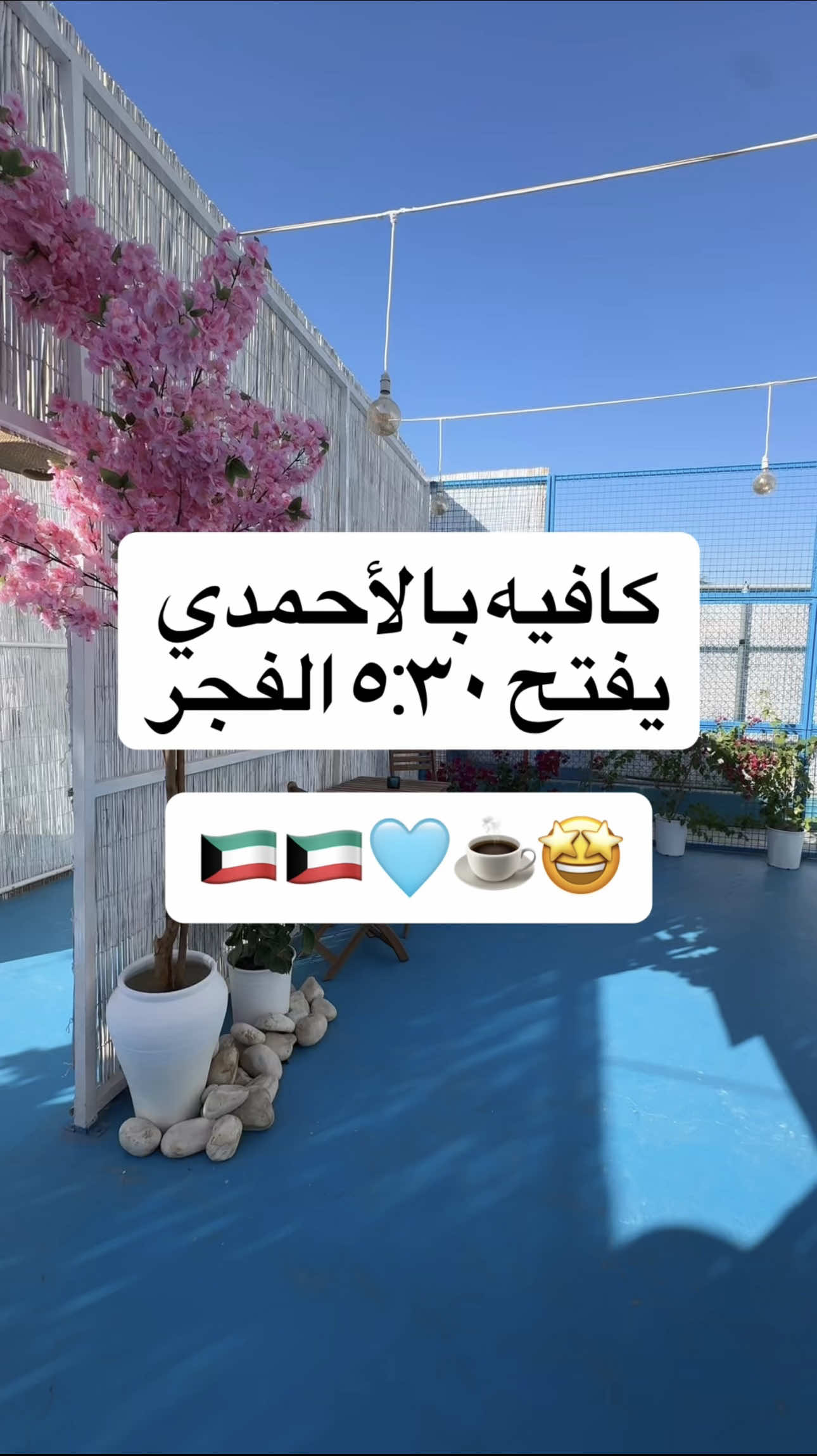 رايحين هالكافيه من قبل ولا توكم تعرفونه⁉️  ‏‎📍مدينة الأحمدي العظييييمة  القعدات مفصولة قسم عوائل وقسم للجميع 👏🏻 يفتحون الساعة ٥:٣٠ الفجر والقهوة والريوق ولا غلطة 🔥🔥🇰🇼