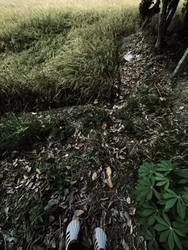 爱情不是以分手而告终，而是以两个曾经深爱彼此的人沉默收场。 “Tình yêu không kết thúc bằng chia tay... mà bằng sự im lặng của hai người từng rất thương nhau