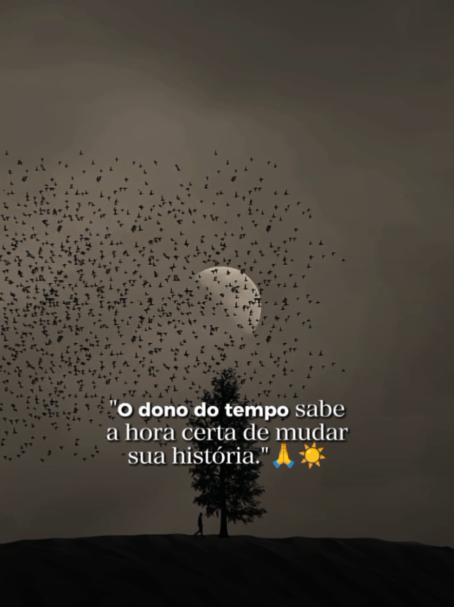 O dono do tempo sabe a hora certa de mudar sua história 🫀 . . . . #menteblindada #motivacao #Motivacional #reels #viraltiktok 