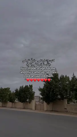 استجيبت ❤️ #ماهرالمعيقلي #قران_كريم #فاستجاب_لهم_ربهم #اجر_لي_ولكم #quran 