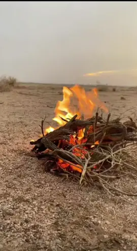 قصايد #شيلات #خواطر #شعر #CapCut 