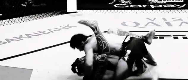 NUMBER ONE🇦🇲 #armantsarukyan #mma #UFC #мма #юфс 