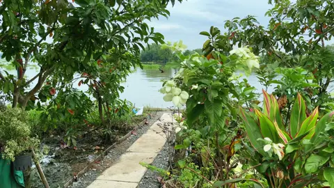 Phát hiện một ngôi miếu gần bờ sông ít người qua lại