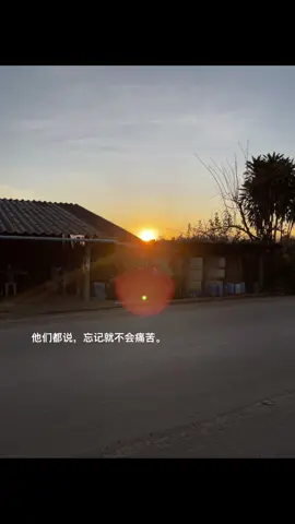 他们都说，忘记就不会痛苦。#感情語錄 #日落 #伤感音乐 