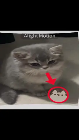 this was supposed to be an entire jugg edit but the first clip took me 20 mins✌️ #pusheen #pusheenthecat #пушин 