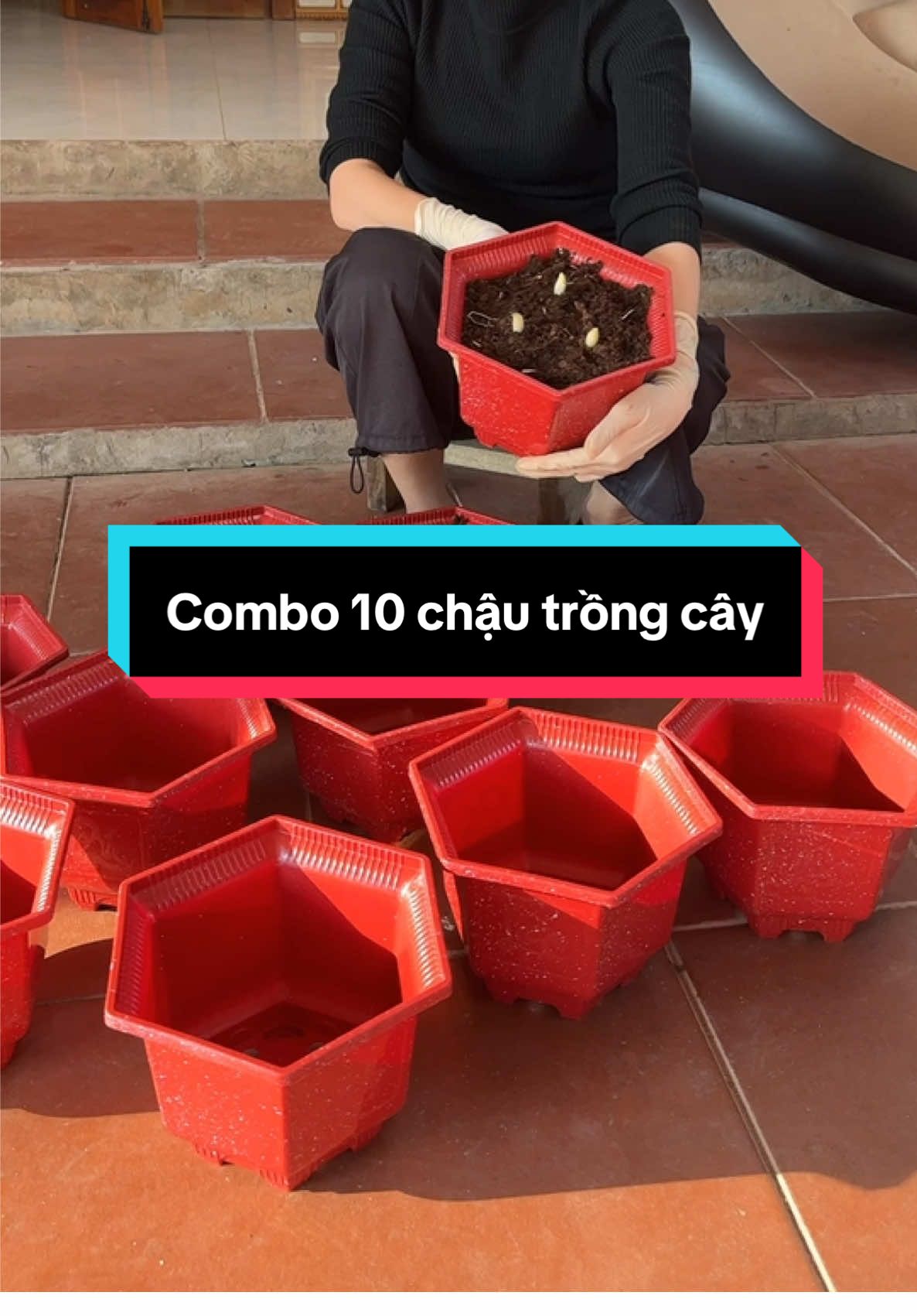 Nói mua rẻ mà không tin á #diepcoine #chautrongcay 
