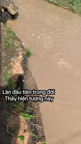 Hiện tượng gì vậy m.n ơi#Châu #iapa 