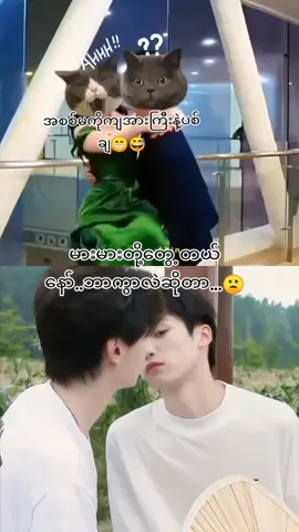ကွာခြားမှု့ကြီးကလဲနော်..😁😆😅#tian💞ziyu #revengedlove #tianxuning #ziyu #fyp 
