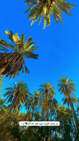 #جزء 167 #تصويري📷 #تصويري_احترافي_الاجواء👌🏻🕊😴 #عباراتكم_الفخمه📿📌 #لايك_متابعه_اكسبلور 