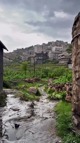 يازين أجواء يافعنا #viral #explore #اليمن #يافع #foryou 