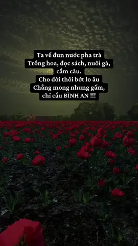 #chàngkhờ13 #lờicổnhân #cadaotucnguvietnam #nhântướng #st 