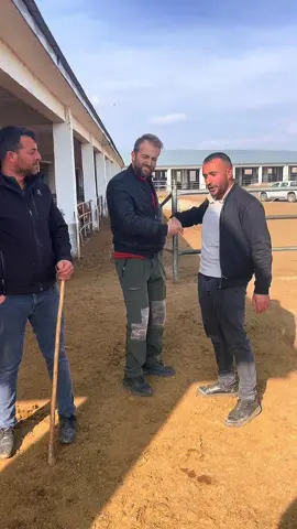 #keşfetteyizzz #hayvanpazari🐄🐃🐂 #şarkışlahayvanpazari #erzurumhayvanpazarı #karshayvanpazari 