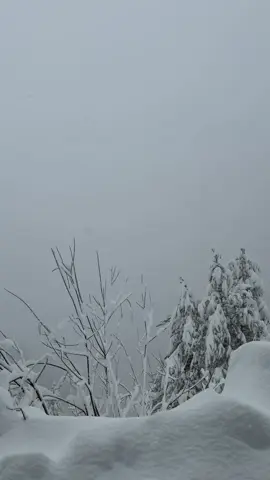 #theth #thethivillias #amazing #snow 