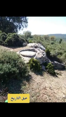 كنوز ودفائن وأثار المغرب العربي 