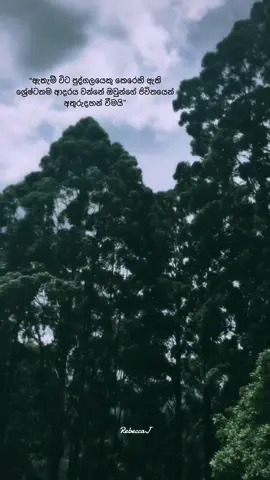 I disappear sometimes, It’s my thing 😌🤍🍃 #manasemaya #traveltiktok #srilanka #charithaattalage #sinhalasong 