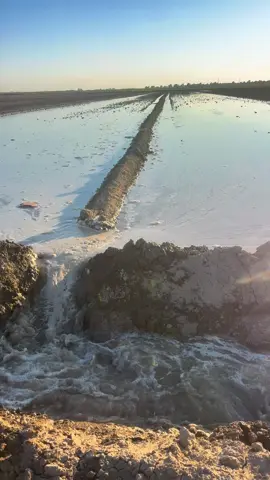 @أحمد صجم التميمي @مروان ال شمر🦅 @حيدر ال سيد مروح الياسري @عمر ال مظلوم 