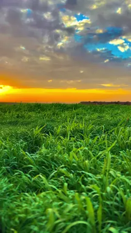 #اللهم_صلي_على_نبينا_محمد #تفاعلكم_حتى_أستمر 