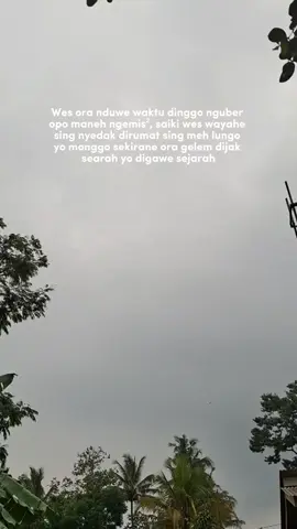 fokuss wes😜#peternakmuda #kambingetawa #fyp #kesel #CapCut 