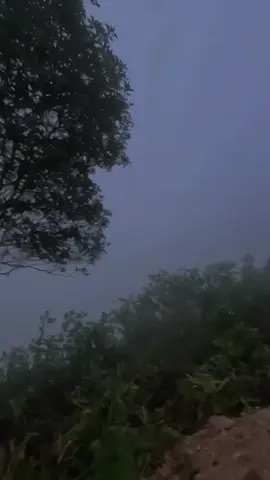 หมอกฉ่ำ หนาวสดชื่น