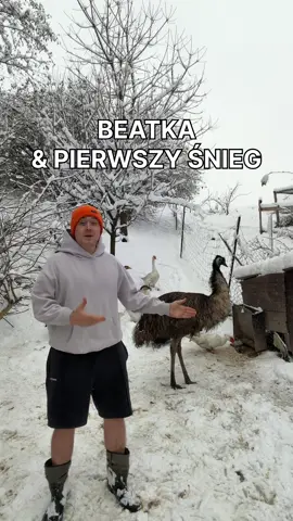 Co z nogą Beatki?! Co Dante ma na nosie?! Kiedy te jajka!?💔😭 Śnieg trochę zaskoczył, spodziewaliśmy się mniejszych ilości, ale chociaż błotka nie ma 😈 