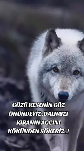 #fyppppppppppppppppppppppp #tik #keşfetttttttt 