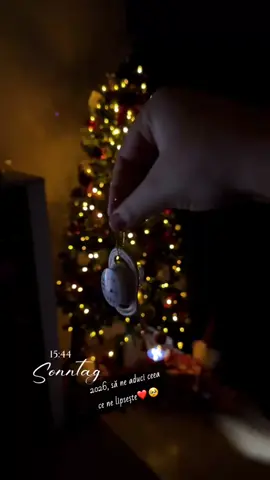 #2026 @Cristi Donu #sarbatori_in_doi❤️ #dorinta_noastră_cea_mare🙏 