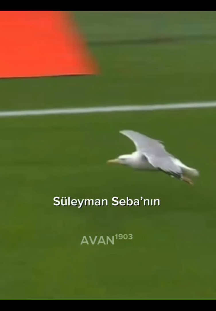 Kalbimizdesin SÜLEYMAN SEBA… @Beşiktaş JK #süleymanseba #beşiktaş #besiktas #keşf 