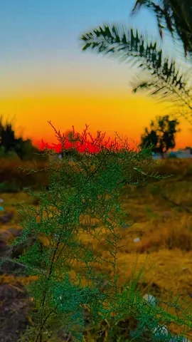 شكثر نامت الفركة عليك #محسن_الخياط #تصويري_احترافي_الاجواء👌🏻🕊😴 #تصويري📸 #تصميم_فيديوهات🎶🎤🎬 #اعادة_النشر🔃 