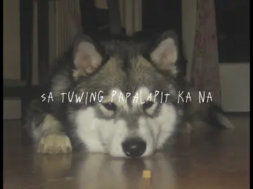 if you know this opm song, you've got taste  bihag by berto #fyp #opm #berto #underrated #lyrics 