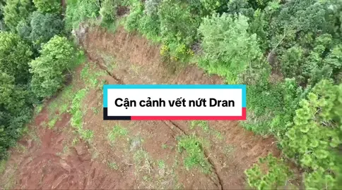 Vừa mới lũ là gặp lỡ #donduongreviewtoantap 