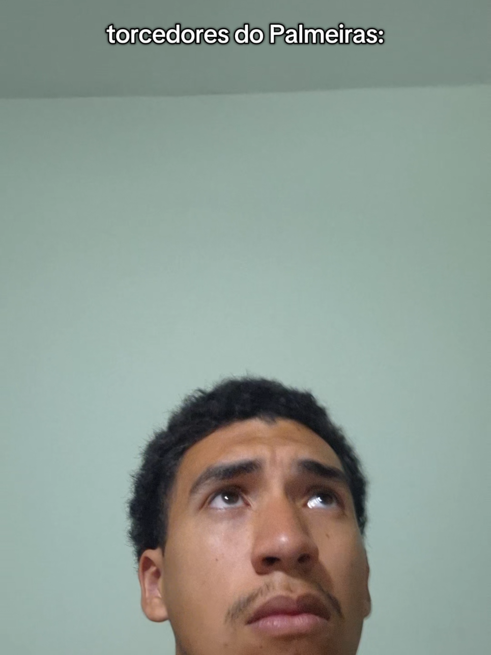 Fábio ainda jogou o Santos e o Vitória pra nada 🤣 #futebol #humor #brasileirao #palmeiras #fluminense 