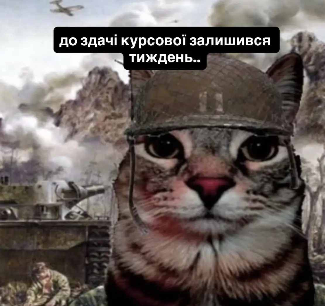 а як у вас справи з курсовими або вже і дипломами?)🫣 #університет #fyp #it #кну #фкнк 