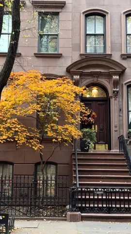 morning in the west village 