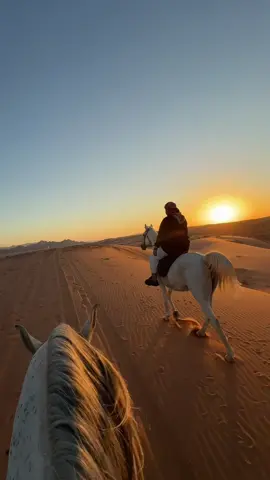 #خيل_وخياله🐎 #عز_الفوارس #foryou 