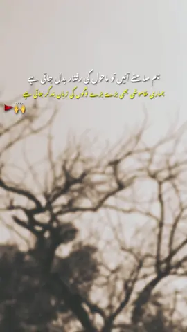 Han G🚩🙌#poetry #foryoupage #dontunderreview 