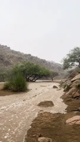 #تصويري #اجواء_الشتاء #امطار_الوسم #اكسبلور #foryoupage 