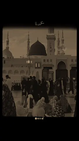 Sukoon Paya Hai Bekasi Mai Hidood-e-Gham Se Nikal Gaya Hoo…🥺🦋🫶🕊️ #f#f#f#foryou#foryoupagenfreezemyaccountrowmyaccount2rabi_ul_awal